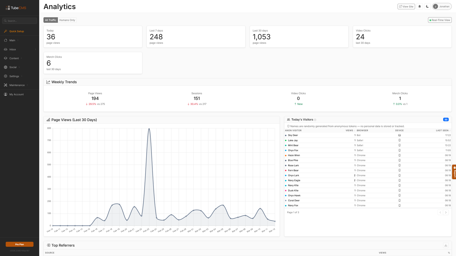 TubeCMS analytics dashboard showing visitor stats and page views